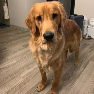 Meet your Posher, Kim